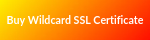 Buy_Wildcard_SSL_Certificate