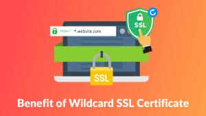 Benefit of Wildcard SSL Certificate
