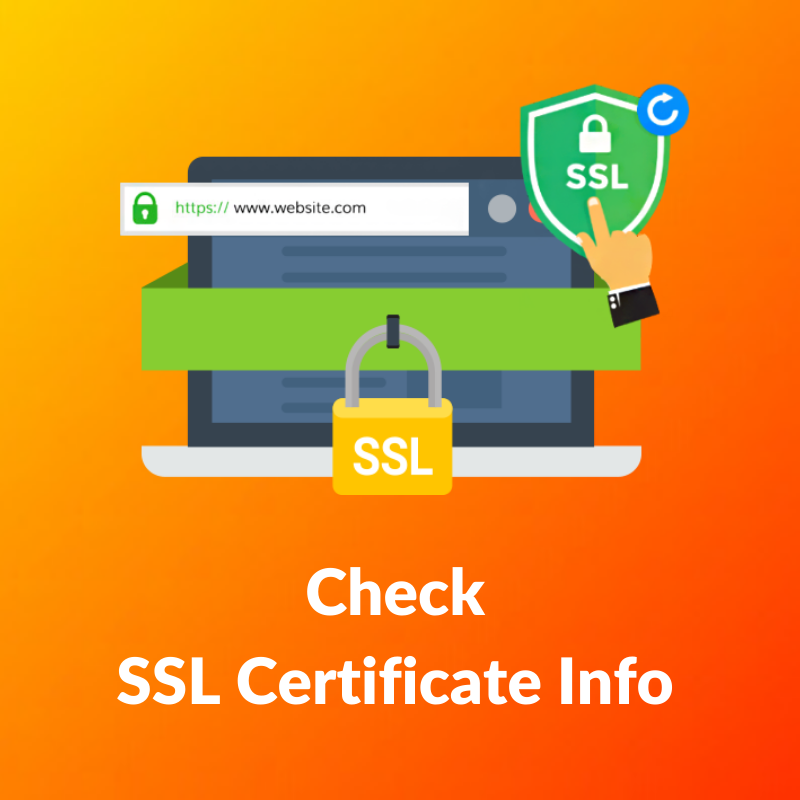 SSL Certificate Not Trusted Error